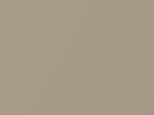 Light Gold Metallic touch-up paint for Nissan Pickup, code E12, 2003