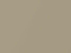 Light Gold Metallic touch-up paint for Nissan Pickup, code E12, 2003