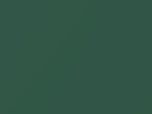 Fern Green Metallic touch-up paint for Chevrolet Cavalier, code 521F, WA521F, 1999