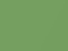 Splash Green Metallic touch-up paint for Suzuki SX4, code ZJD, 2008