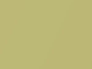 Optic Green Metallic touch-up paint for Dodge Charger, code GFG, PFG, 2010