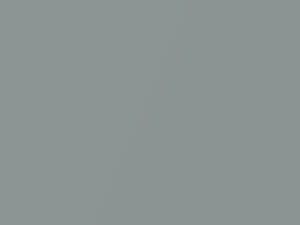 BMW Aventurine Silver Metallic touch up paint S58 2011 X6