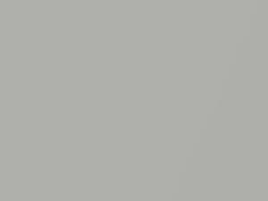 River Silver Metallic touch-up paint for Smart, code C50L, EAD, 2018