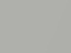 River Silver Metallic touch-up paint for Smart, code C50L, EAD, 2018