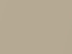 Beige Metallic touch-up paint for Daihatsu Boon, code T25, 2015