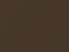 Medium Brown Metallic touch-up paint for Nissan, code CAK, 2013