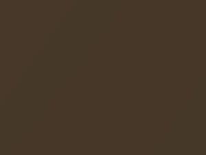 Medium Brown Metallic touch-up paint for Nissan, code CAK, 2013