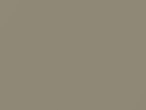 Luxury Beige Metallic touch-up paint for Hyundai, code AP, 2006