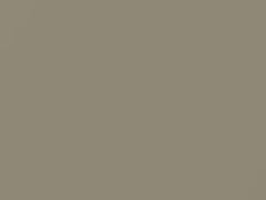 Luxury Beige Metallic touch-up paint for Hyundai, code AP, 2006