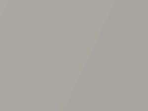 Warm Silver Metallic touch-up paint for Daihatsu, code S20, 2000