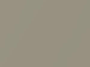 Light Gold Metallic touch-up paint for Honda Fit, code NH663M, 2004