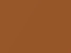 Orange Metallic touch-up paint for Nissan, code A34, 2007
