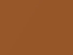 Orange Metallic touch-up paint for Nissan, code A34, 2007