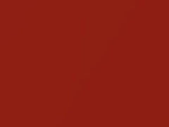 Orange Metallic touch-up paint for Toyota Yaris, code 4S9, 2006
