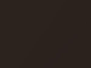 Deep Brown Metallic touch-up paint for Mitsubishi, code C17, CSC10017, 2020
