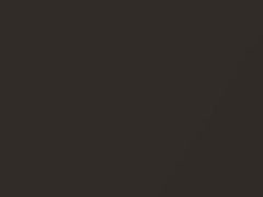 Volkswagen Macassar Brown Metallic touch up paint G0 2016 All Models