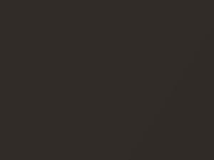 Volkswagen Macassar Brown Metallic touch up paint G0 2016 All Models