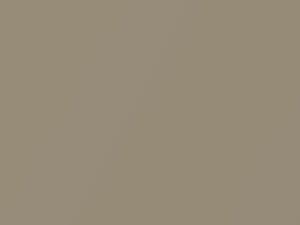 Light Gold Metallic touch-up paint for Nissan 300ZX, code EM0, 1994