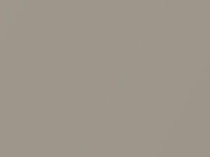 Mercedes-Benz Rocky Metallic Light Brownmeta touch up paint 697 2009 All Models
