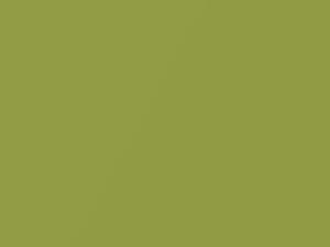 Yellow Green Metallic touch-up paint for Daewoo Lanos, code 49U, 2002