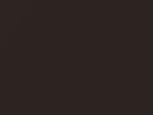 Coffee Bean Metallic touch-up paint for Hyundai, code XN5, 2016