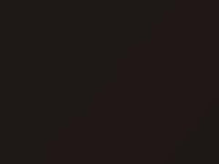 Smoky Quartz Metallic touch-up paint for Rolls Royce Wraith, code R78, WR78, 2014
