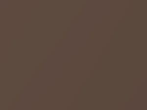 Cinnamon Bronze Metallic touch-up paint for Honda, code YR635M, 2017