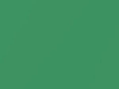 Fame Green II Metallic touch-up paint for Rolls Royce, code L38, 2016