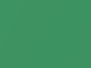 Fame Green II Metallic touch-up paint for Rolls Royce, code L38, 2016