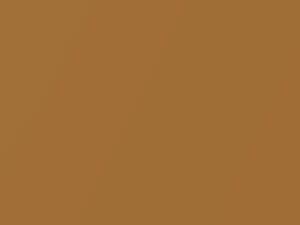 Arizona Sun 2 Metallic touch-up paint for Rolls Royce, code T81, 2013
