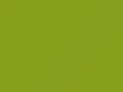 Mercedes-Benz Lime Green touch up paint 6978 2019 All Models