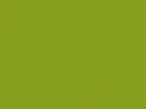 Mercedes-Benz Lime Green touch up paint 6978 2019 All Models