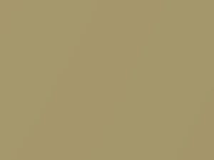 Gold Metallic touch-up paint for Toyota Corolla, code 585, 2002