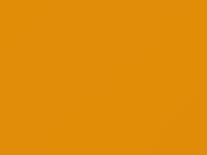 Triple Yellow touch-up paint for Ford Focus, code C4K, FEBGWHA, H3, 2017