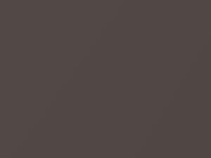 Volkswagen Cairo Gray Metallic touch up paint 2N 2017 Cabrio