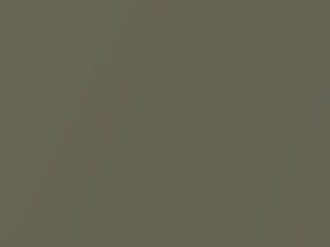 Pepper Green Metallic touch-up paint for Saab 44809, code 307, 2009