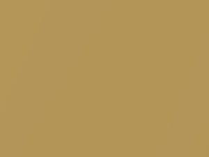 Citrus Gold Metallic touch-up paint for Ford Courier, code 603, 6995, B8, M6995A, 2000