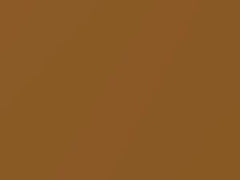 Arizona Sun Metallic touch-up paint for Rolls Royce Phantom, code T28, WT28, 2012