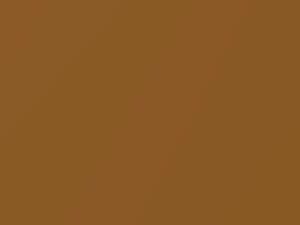 Arizona Sun Metallic touch-up paint for Rolls Royce Phantom, code T28, WT28, 2012