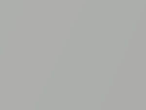 Mercedes-Benz C Class Silberdistel Metallic touch up paint 881 1986 ClassC