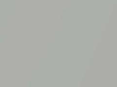 Mercedes-Benz C Class Silberdistel Metallic touch up paint 881 1986 ClassC