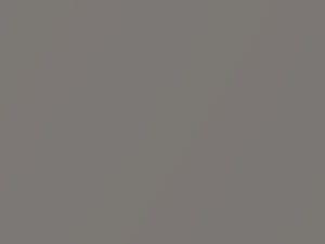 Aspen Silver Metallic touch-up paint for Land Rover Range Rover, code 458, MUD, 1993