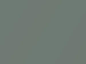 Frost Green Metallic touch-up paint for Suzuki Verona, code 40V, 2004