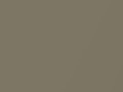Beige Metallic touch-up paint for Nissan, code CV2, 2001