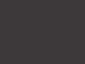BMW 4 Series Champagne Quartz Metallic touch up paint C48 2017 4-SERIES
