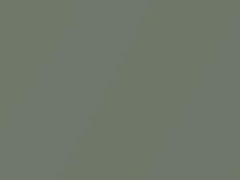 Flash Green Metallic touch-up paint for Nissan Sentra, code J40, 2008