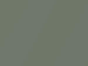Flash Green Metallic touch-up paint for Nissan Sentra, code J40, 2008