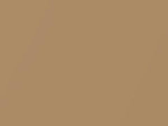 Golden Sand Metallic touch-up paint for Toyota T100, code 578, 1999