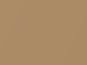 Golden Sand Metallic touch-up paint for Toyota T100, code 578, 1999