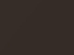 Mercedes-Benz G Class Citrine Brown Metallic Matte touch up paint 271 2020 ClassG